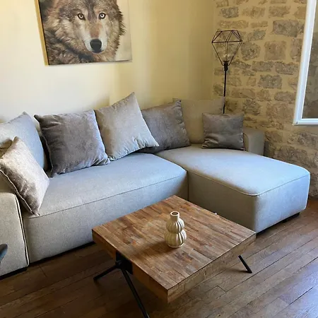 Ca Se Passe Ici Apartment Dijon